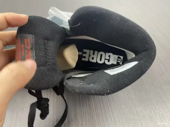 Reps TBK DB2889-001 High Jordan Grey Gore-Tex Black 1 Element Retro Particle 0626